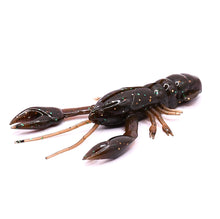 Load image into Gallery viewer, Nikko Craw 2.4 - Mudbug (#172)
