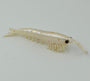 Okiami Shrimp L - Pearl White (#105)