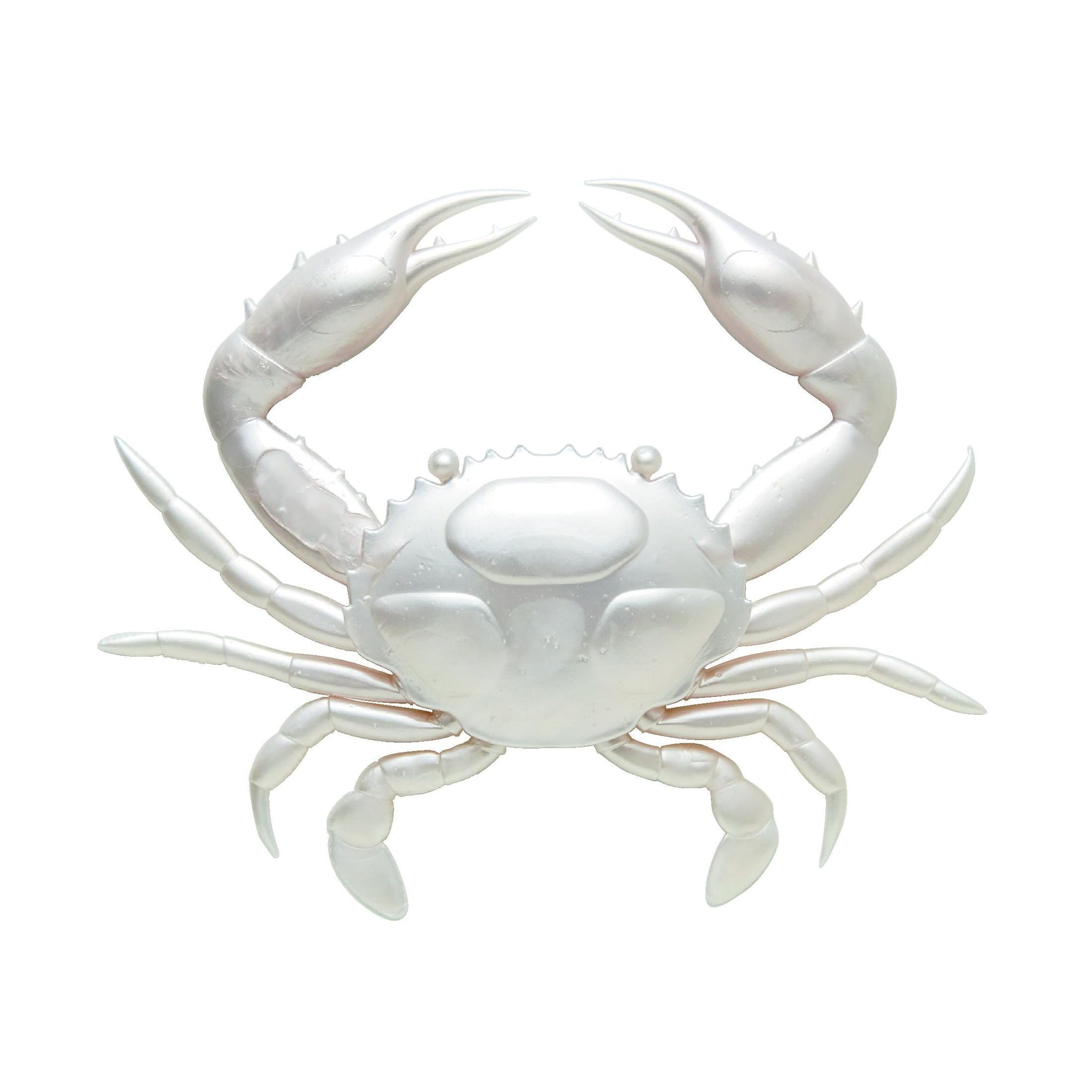 ビカクシダ　White Crab#1 OC ビカクシダ White Crab#1 OC 【公式通販】