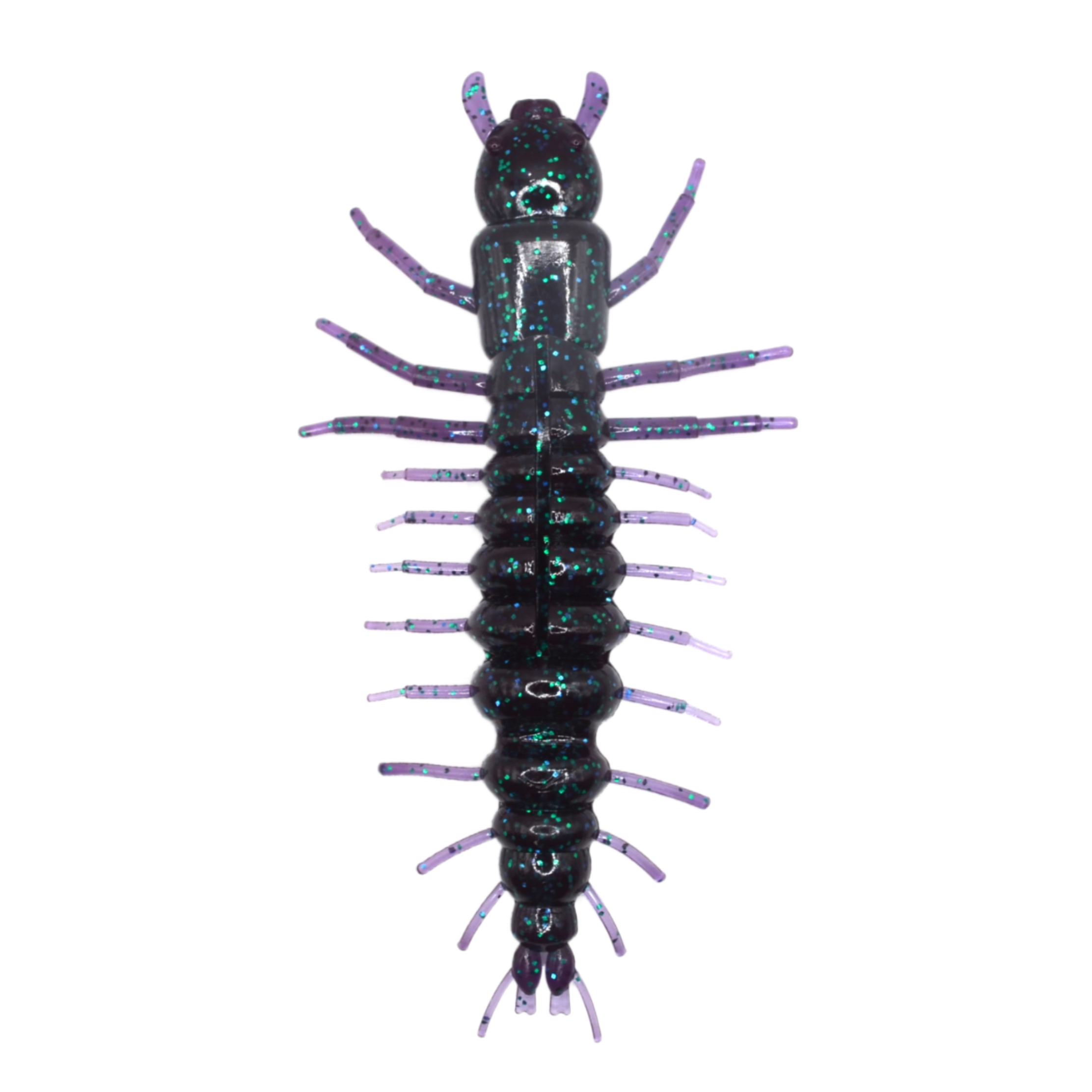 635junebug2200fotorwhite_JPG_2